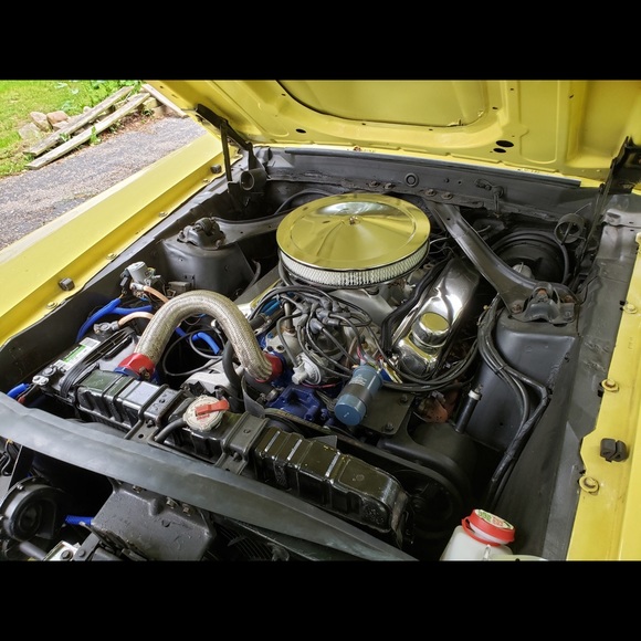 Meet your Posher, Elizabeth - Picture 11 of 14